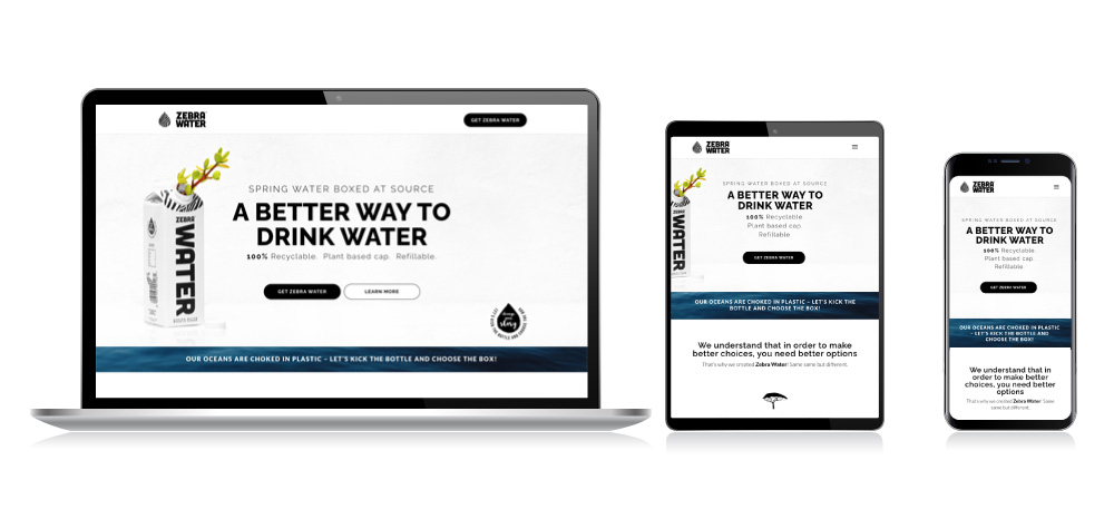 zebra-water-h Perry and Steyn Physiotherpists